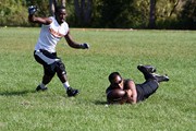 OTFL Gallery Image